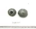 Click for 1 image(s) for this accession. FRUIT